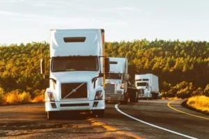 Read more about the article Crane Truck Deliveries